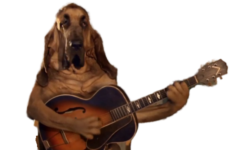 wwe guitare catch musique other kakakak chien