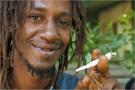 weed-risitas-jamaica-jamaican-petard-smoke