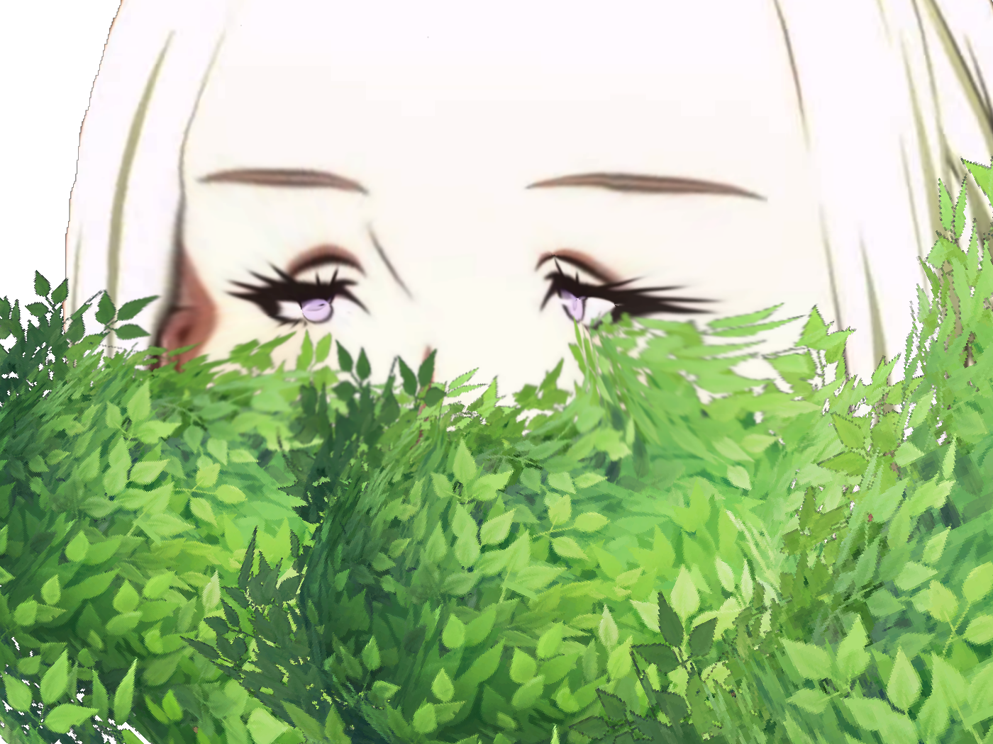 risitas trap kj caca