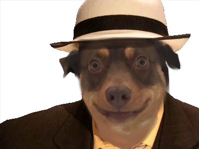 risitas chien chapeau