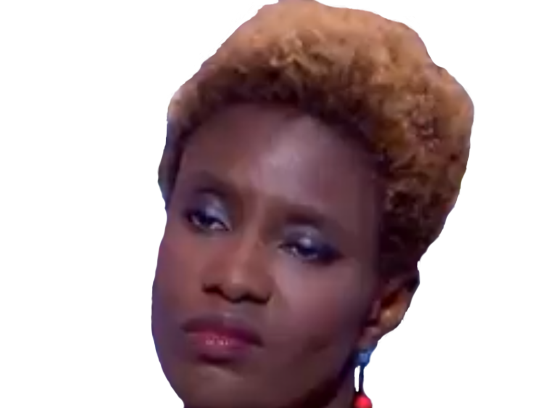 rokhaya lci mepris diallo bercoff indigeniste politic