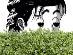 chasse buisson juif arabe eren kikoojap