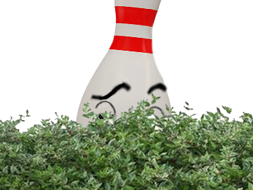quille buisson bowling