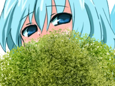 ne buisson kikoojap desu