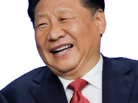 chinois chine politics politique xi jinping