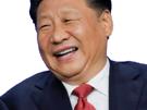 chinois-chine-politics-politique-xi-jinping
