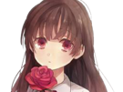 ivu ib kikoojap rose