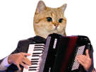 accordeon-chat-other-giscard