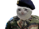 phopho militaire risitas sadcat