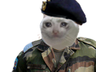 phopho-militaire-risitas-sadcat
