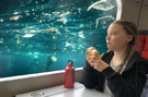 dejeuner-plongeurs-ocean-pollution-thunberg-other-petit-aquarium-poissons-greta-decheterie-mer-eau-dechets-ecologie-train-repas
