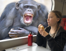 train-repas-other-greta-singe-ecologie-dejeuner-petit-thunberg-gorille