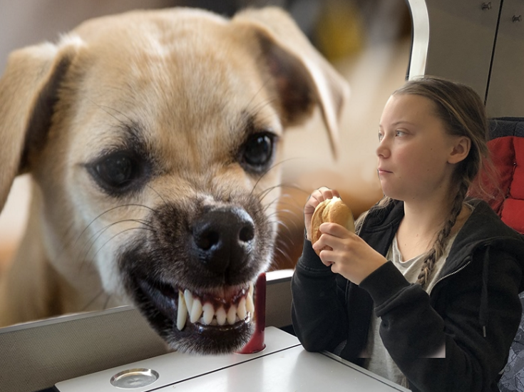 ecologie thunberg dejeuner petit train chien greta repas other