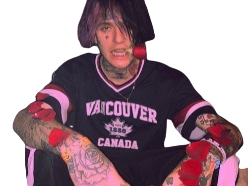 musique rappeur fleur peep us lil rap rose