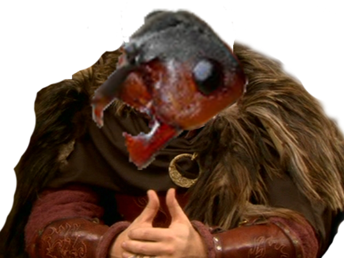 jesus fourmi insecte risitas