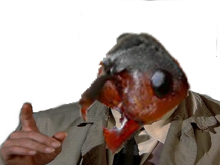 jesus fourmi insecte risitas