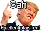 donald president trump usa quel sah plaisir risitas