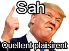 donald-president-trump-usa-quel-sah-plaisir-risitas