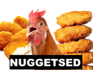 poule-other-nuggets-kekeh