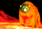 solaire-other-solar-ours-bear