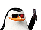 terminator-madagascar-jvc-pingouin