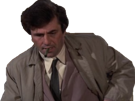 columbo-reflexion-derive-other