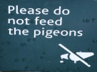 dont-ne-nourrir-feed-other-pigeons-pas-apple-troll