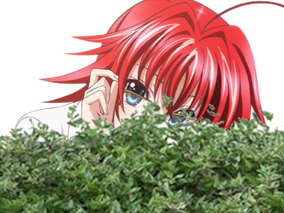kikoojap rias high gremory buisson anime school dxd