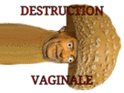 risitas-penetration-anal-destruction-phallus-vagianle-champignon-uretre-gif-joussance-ejaculation-anale-cul-jouie-vaginale-sexe-sperme