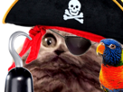pirate-risitas-chat-limbo