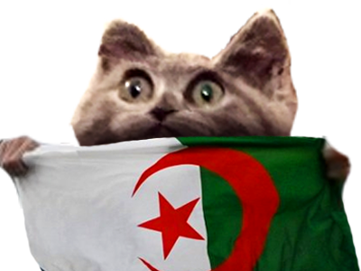 limbo risitas qlf paz chat