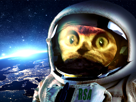 chat-limbo-risitas-astronaute-espace