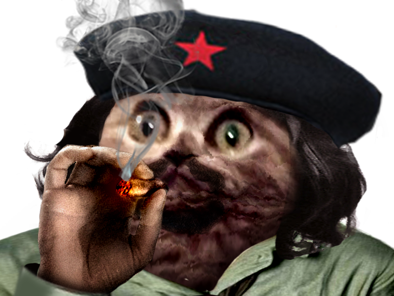 Fume cigare Guevara: 4 embouts buccaux en résine pour fumeur