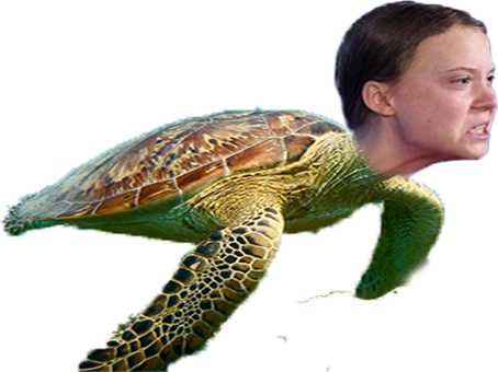 tortue politic greta gretortue
