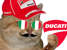 italienne-corse-risitas-moto-ducati-ducatiste