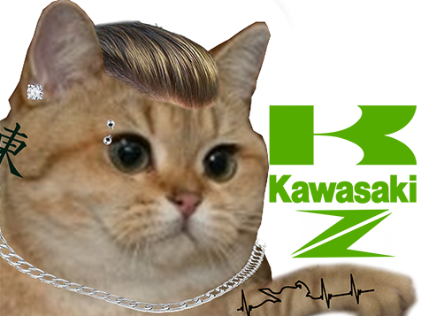 chat z z750 ziste risitas kawasaki beauf kanji