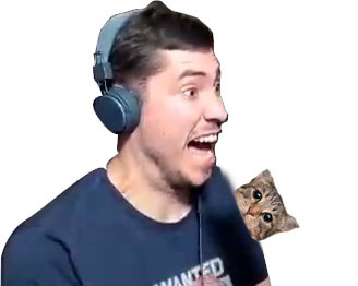 54 kirby cocotteuh risitas chat pervers