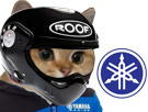 scooter-wesh-yamaha-risitas-roof-tmax-chat