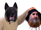milou-dogged-chien-jvc-terrorisme-baghdadi-trump