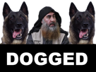 islamique-other-dogged-usa-armee-al-trump-baghdadi-abu-chien-etat-bakr-daesh