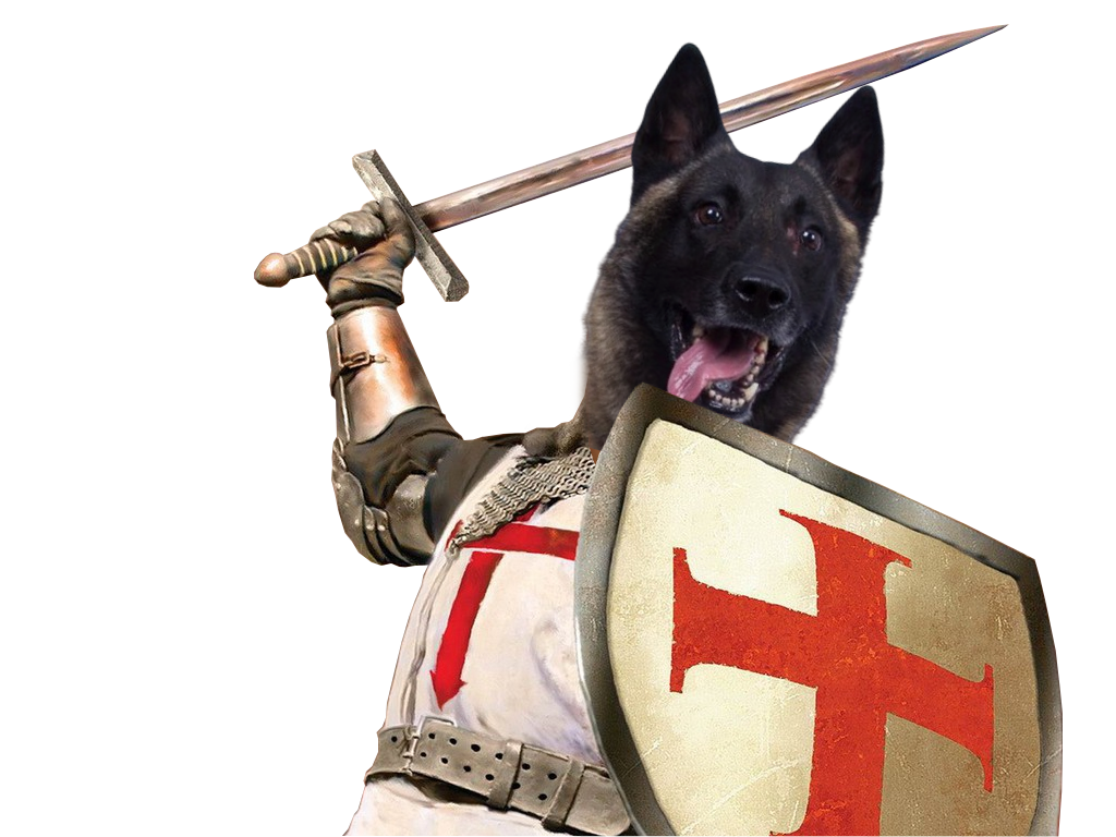 daesh vult trump doggo deus jvc