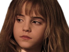 hermione-emma-granger-harry-watson-potter-other