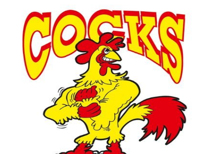 handball train cocks bet