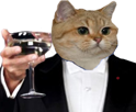 risitas-gatsby-the-catsby-great