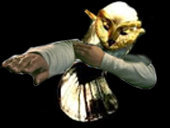 hibou max au valentin chasse chouette dor or en tresor