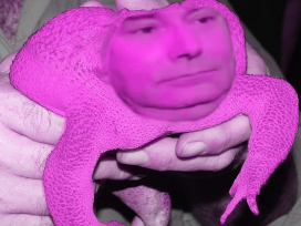 risitas gay rose jesus