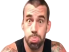 cmpunk-punk-go-sleep-aew-chick-wwe-ecw-surpris-omg-all-edge-in-catch-of-prout-brooks-wrestling-phillip-2-world-best-cm-the-gts-catcheur-elite-straight-choquer-jack-cult-personality-magnet