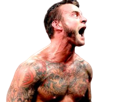 in-enerve-wwe-hurle-world-crie-best-the-gts-catcheur-cm-punk-catch-ecw