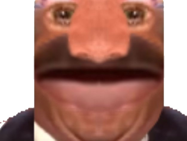 possede deforme conseils sportifs debile pari risitas