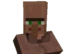 hein pnj minecraft villageois
